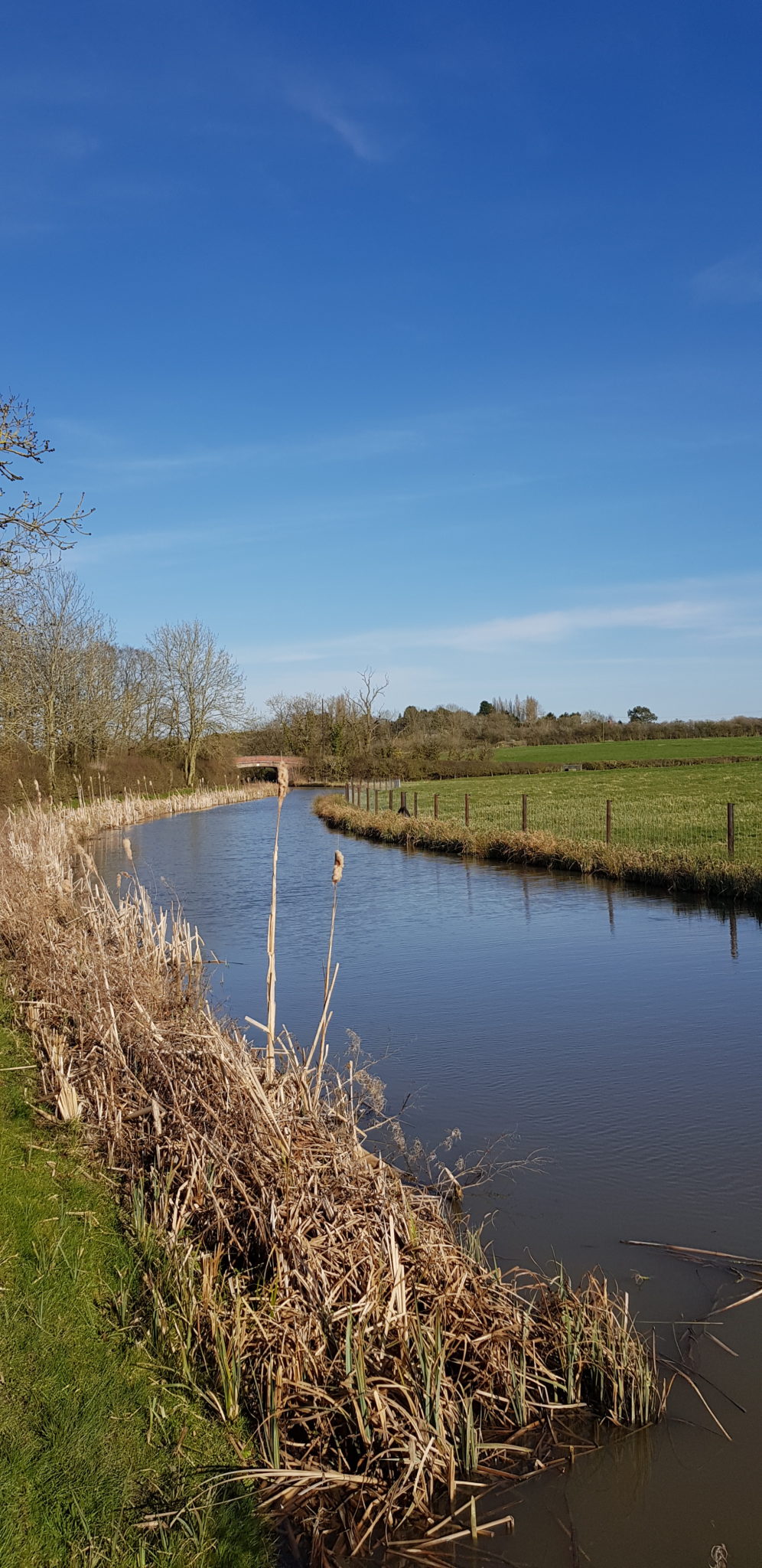 Lock-less Ashby Canal