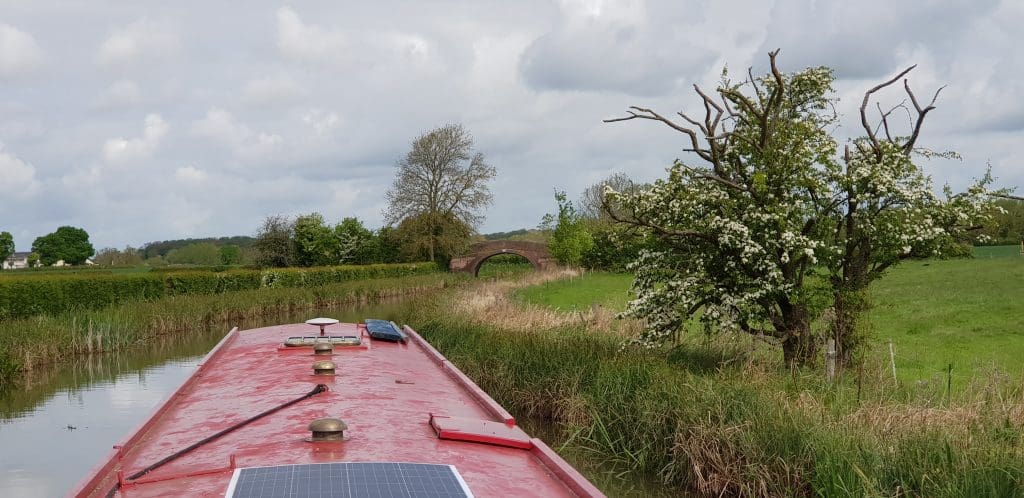 Midland Mallard on the Ashby Canal