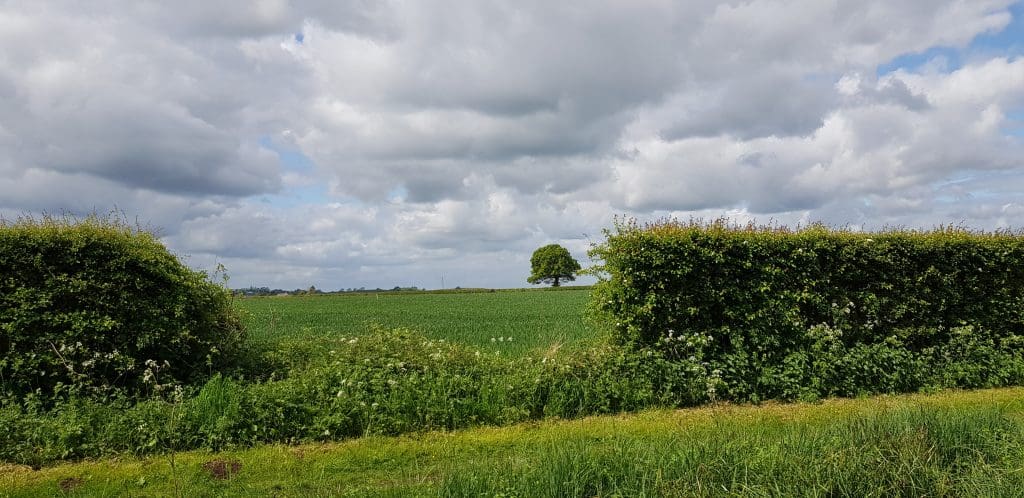 Ashby Canal Holidays